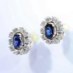 Oorbellen - 18 karaat Witgoud - 0.70ct. tw. Saffier -, Handtassen en Accessoires, Oorbellen, Nieuw