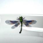 Krautheim & Adelberg - Eetservies voor 12 (15) - Serving