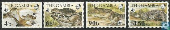 Gambia - WWF - Natuurbehoud Nijlkrokodillen - 1984, Postzegels en Munten, Postzegels | Afrika, Postfris, Verzenden
