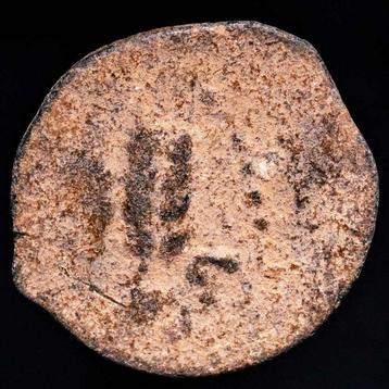 Judée. Herod Agrippa I (AD 37-44). Prutah - Umbrella / Three
