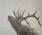 Zeldzaam jacquardtapijt van alpacawol en katoen - 105x140cm, Antiek en Kunst