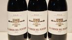 2023 Viñedos de Pàganos, El Corner del Puntido - Rioja - 3, Nieuw