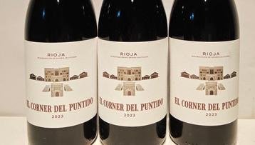 2023 Viñedos de Pàganos, El Corner del Puntido - Rioja - 3
