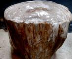 Bijzettafel - versteend hout - bijzettafel, Nieuw