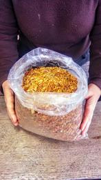 Ruwe Baltische Amber - Barnsteen - 3 kg Lot - 0.5 cm - 0.5, Nieuw