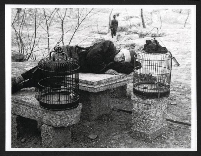 Robert Capa (1913–1954) - Sleeping bird keeper, China 1938, Antiek en Kunst, Kunst | Designobjecten