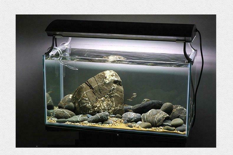 werkloosheid Middag eten snel ② Brook stone 10-15cm - aquarium decoratie stenen — Vissen | Aquaria en  Toebehoren — 2dehands