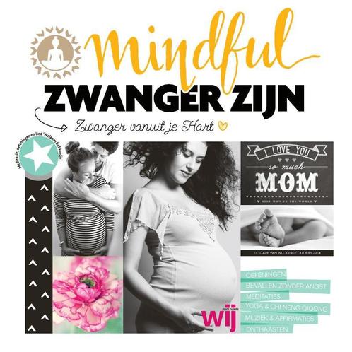 Mindful zwanger zijn 9789082250817, Livres, Grossesse & Éducation, Envoi