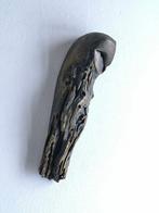 Federico Alibrio - Wood Barn Owl - Shadow Guardian