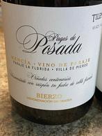 2018 Bodegas Tilenus - Raúl Pérez, Pagos de Posada Mencia -, Nieuw