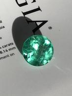 1 pcs Vert Émeraude - 6.64 ct - Gemological Institute of, Nieuw