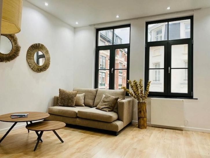 Appartement en Rue Saint-Bernard, Saint-Gilles, Immo, Appartements & Studios à louer, 50 m² ou plus, Bruxelles