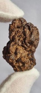 Set van 4 verschillende meteoriettypen: Pallasiet, Verzamelen