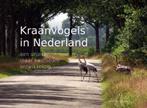 Kraanvogels in Nederland 9789023258872 Herman Feenstra, Verzenden, Zo goed als nieuw, Herman Feenstra
