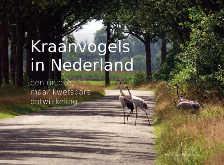 Kraanvogels in Nederland 9789023258872 Herman Feenstra, Boeken, Hobby en Vrije tijd, Zo goed als nieuw, Verzenden