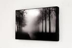 Rouzbeh Tahmassian - In the mist - No reserve price