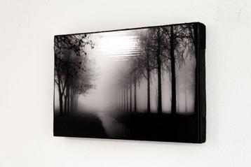 Rouzbeh Tahmassian - In the mist - No reserve price