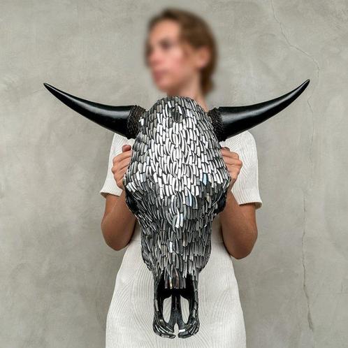 GEEN MINIMUMVERKOOPPRIJS - Authentieke grote stierenschedel, Antiek en Kunst, Kunst | Designobjecten