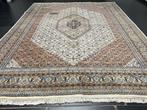 Bidjar - Tapis - 245 cm - 255 cm