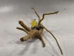 Spiderwood Selected SW83 - 40x24x23cm (Spider wood), Ophalen of Verzenden, Nieuw, Plant(en), Steen of Hout
