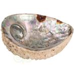 Abalone Schelp XL Nr 30 - 318 gram, Huis en Inrichting, Woonaccessoires | Kandelaars en Kaarsen, Verzenden, Nieuw