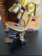 Microscope - 1900-1910, début du 20e siècle - Autriche