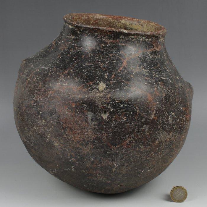 Bronstijd, West-Aziatisch Aardewerk GIGANTISCHE pot, Verzamelen, Mineralen en Fossielen