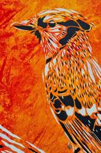 Alexandre Petrus (1988) - LE GEAI