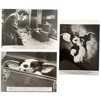 Set of 3 black and white Press photos - Gremlins 2: The New