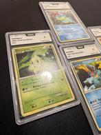 Pokémon - 4 Graded card - Chikorita, Totodile, Cyndaquil,, Nieuw