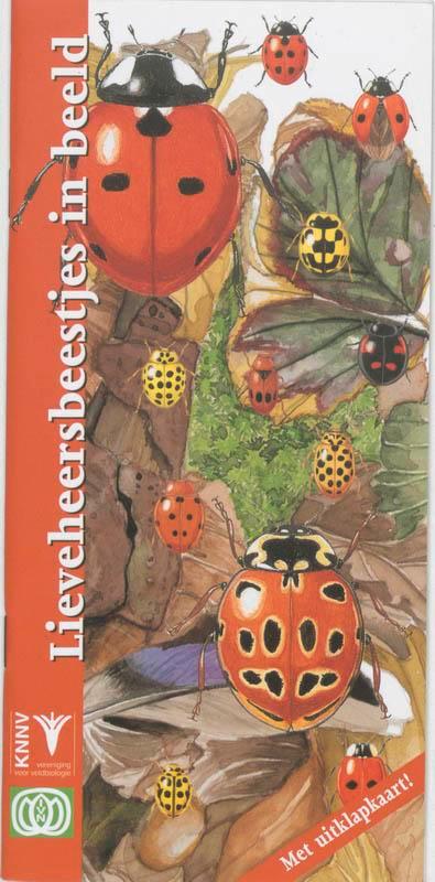 Lieveheersbeestjes in beeld / In beeld / 2 9789050111263, Boeken, Wetenschap, Gelezen, Verzenden