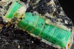 Enkele EMERALD kristallen met zwarte TOERMALIJN rozetten -, Verzamelen
