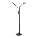Fischer & Honsel - Lampadaire - Lampadaire Dent Dual-Light -
