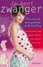 Je bent zwanger 9789027433077, A. de Grient Dreux, C.J. Labuschagne, Verzenden