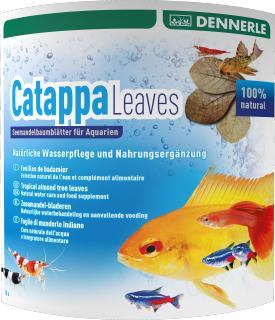 Dennerle Catappa leaves 10 pcs, Animaux & Accessoires, Poissons | Aquariums & Accessoires, Envoi