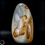 Agate polychrome naturelle de couleur rare Libre- 645.61 g