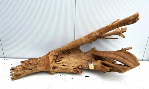 Osaka XL120 uniek aquarium decoratie hout  140x75x50 cm, Dieren en Toebehoren, Vissen | Aquaria en Toebehoren, Plant(en), Steen of Hout