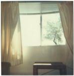 Stefanie Schneider - Living Room (29 Palms, CA), Collections, Appareils photo & Matériel cinématographique