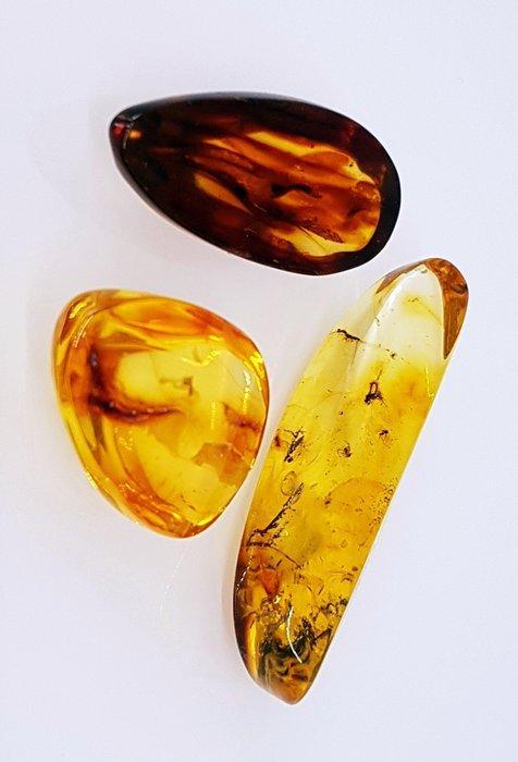 3 stukken natuurlijke fossiele Baltische barnsteen met, Verzamelen, Mineralen en Fossielen