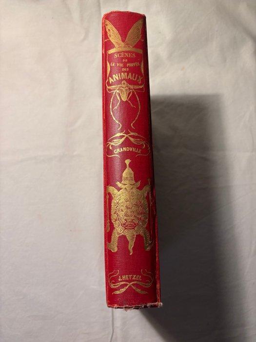 Grandville - Scènes de la vie privée et publique des animaux, Antiquités & Art, Antiquités | Livres & Manuscrits