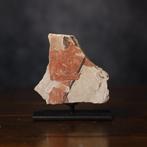 Het oude Egypte, kalksteenfragment met afbeelding van een, Verzamelen