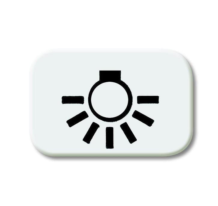 ABB Busch-Jaeger 2525 LI-214 Light Symbol R-Alpin White -, Doe-het-zelf en Bouw, Elektriciteit en Kabels, Verzenden