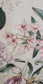Tissu Art Nouveau Exclusif avec Sélection dOrchidées -