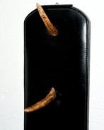 Kapstok - H 63,5 cm - Hout, Leder, Hoorn - Hoorns