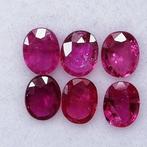 6 pcs  Rood Robijn  - 1.68 ct - Instituto Gemólogico Español, Handtassen en Accessoires, Edelstenen, Nieuw