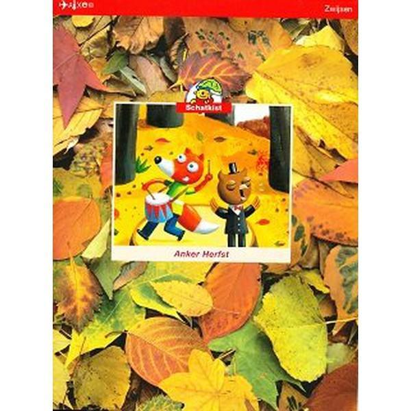 Schatkist versie 2 pakket 3 (zie omschrijving), Boeken, Schoolboeken, Verzenden