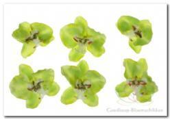 Orchidee hoofd lichtGroen   8. 5 cm. /pak 6 Orchidee hoofd, Maison & Meubles, Accessoires pour la Maison | Plantes & Fleurs artificielles