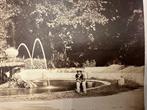 anonimo - Roma - Villa Borghese. Antica fotografia