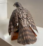 Kaiser - Wolfgang Gawantha - Statue, Goshawk Accipiter