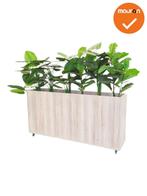 Verrijdbare plantenbak - 160x80cm - Scandinavisch eiken, Zakelijke goederen, Werkplek, Ophalen of Verzenden, Nieuw zonder verpakking